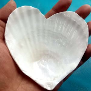 Coquilles Saint-Jacques Naturelles Blanches en Forme de Cœur, Coquilles Marines Brutes pour Artisanat DIY, Décoration de Mariage à la <span class=keywords><strong>Plage</strong></span> et Fêtes - Product Image 6