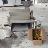 Roestvrij staal industriële pitting- en klopmachine Kiwi-pulpmachine Fruit- en groenteklopmachine 1500W 220V/380V