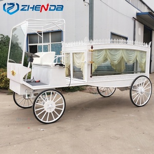 Carroza Fúnebre Eléctrica Zhenda con Caballos de Henan y Otras Potencias - Product Image 2