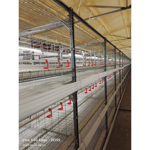 <span class=keywords><strong>Poulailler</strong></span> en acier de type A nouvelle condition Cage de couche automatique pour batterie de volaille <span class=keywords><strong>Poulailler</strong></span> Cage de poulet en fil - Product Image 4