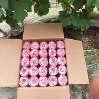Ruban de fixation en PVC souple givré pour la soutien des plantes, les vignobles et les fermes