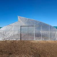 Serre tunnel papillon haut de gamme pour l'agriculture commerciale et la culture de légumes