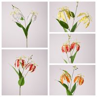 Guirlande de 3 petites fleurs imprimées en 3D en latex (lys flamboyants et narcisses) pour la décoration nordique et la photographie de la Saint-Valentin