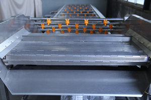 Laveuse de fruits et légumes à courant de Foucault pour tomates cerises et noix de coco, nouvelle ligne de lavage commerciale à <span class=keywords><strong>prix</strong></span> d'usine - Product Image 2