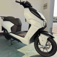 Moto Électrique 3000W pour Adultes – Haute Puissance et Style