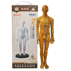 Modèle d'acupuncture chinoise masculin/féminin, modèle de points de pression et de méridiens, mannequin d'acupuncture pour l'enseignement de la médecine chinoise - Product Image 1
