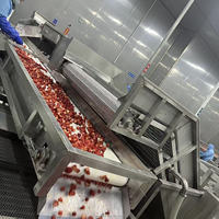 HRTY Hoge Efficiëntie Ondersteunende Aangepaste Fruit- en Groenteverwerkingsmachine voor Fabrieken