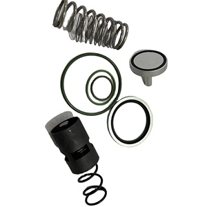 Kit de réparation pour compresseur d'air à vis Manny 2901 2006 53 avec joints - Product Image 6