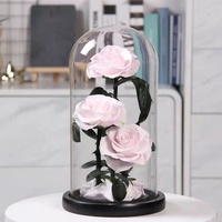 Rose éternelle sous dôme en verre avec éclairage de LED, fausse fleur, pour la saint-valentin, pour un cadeau romantique, 9 pièces