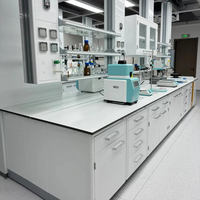 Banc de laboratoire personnalisable, table de travail moderne en acier, revêtement en poudre époxy, évier, service pour l'école, l'hôpital, le laboratoire