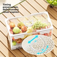 Boîte de rangement alimentaire rectangulaire portable en plastique double couche de style japonais, ensemble de thé pour céréales, boîte à lunch pour réfrigérateur, utilisation en extérieur