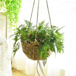 Panier suspendu en fibres végétales rond fait à la main, pot de fleurs mural avec corde pour une utilisation en intérieur et en extérieur - Product Image 4