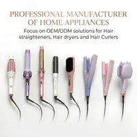 Sèche-cheveux électrique haute vitesse 5 en 1 avec diffuseur, technologie ionique négative au plasma pour soins capillaires, idéal pour usage domestique et hôtelier, marque privée