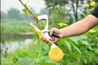 Agrafe pour Tapetool Tapener Attachant Clou d'agrafe pour l'utilisation de jardin