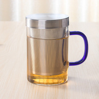 Tasse à thé en verre borosilicate de 450ml avec infuseurs à thé en acier inoxydable avec couvercle poignée colorée pour le ménage