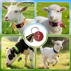 Nuevos Collares Ajustables para Cabras de la Marca Digchti con Campanas de Cobre, Etiquetas Numeradas, Nailon Resistente, Talla Grande para Ovejas, Multicolor - Product Image 3