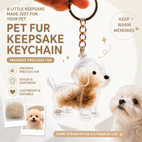 Nouveau Porte-clés Souvenir Commémoratif Transparent Mignon en Forme de Capsule Écologique pour Stocker les Poils d'Animaux (Chiens et Chats)