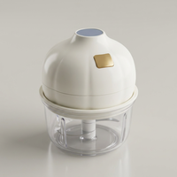 Draagbare Mini Elektrische Voedselhakker 350ml Uniek Design Glazen Kom Multifunctionele Processor Geschikt voor Knoflook Groenten