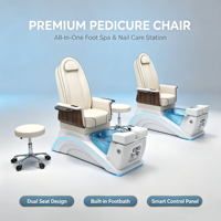 Fauteuil de pédicure électrique professionnel avec station de massage du dos, système de plomberie certifié CE, ensemble de mobilier de salon tout-en-un