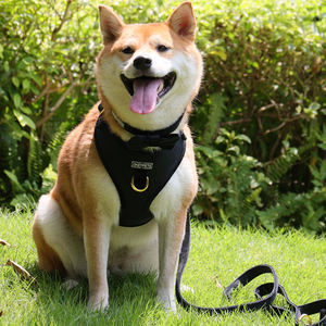 OKEYPETS-Ensemble harnais pour <span class=keywords><strong>chien</strong></span> de luxe réglable <span class=keywords><strong>en</strong></span> velours de haute qualité avec logo personnalisé, sans traction, <span class=keywords><strong>laisse</strong></span> assortie - Product Image 5