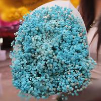 Groothandel Gedroogde Gypsophila Bloemboeket Meerdere Kleuren Gedroogde Bloemen Kerst Valentijn Pasen Cadeau Huis Bruiloft Decoratie
