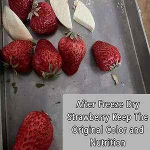 Máquina de Secado por Congelación Doméstica de Acero Inoxidable de 4 Bandejas, Piezas Aptas para Lavavajillas, Fácil Mantenimiento - Product Image 2