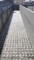 Diffuseur à bulles fines en EPDM, disque aérateur, membrane en caoutchouc, diffuseur d'air pour le traitement des eaux usées, filtration 100L/heure