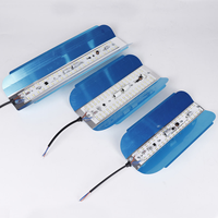 50W 100W 200W personnalisé étanche Led tungstène lumière iode tungstène lampe extérieure Led lumière d'inondation/projecteurs solaires