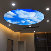 Panneau de plafond rétroéclairé rond ou carré en film souple imprimé UV personnalisé avec éclairage LED pour centre commercial et magasin