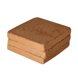 Brique de tourbe de coco de 10 cm, terreau nutritif pour jardinage domestique, haute mousse, faible teneur en sel, vente directe usine, universel - Product Image 3
