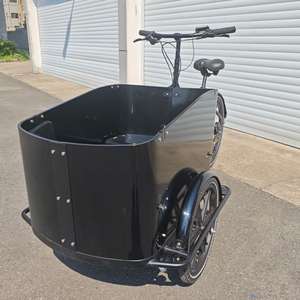 Vélo cargo électrique pour adultes et famille pour transporter des marchandises pour enfants et animaux de compagnie pour faire du shopping, pique-nique, pêche, voyage et autres activités de plein air - Product Image 3