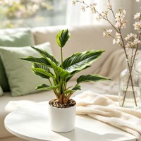 Tanaman Hosta Buatan dalam Pot Silinder Putih Modern Buatan Tangan Daun Palsu Berwarna-warni Realistis untuk Dekorasi Meja Pintu Masuk Rumah.