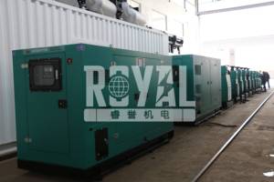 Generador Eléctrico Nuevo de Marca en Oferta, 100 kVA, 80 kW, 60 Hz, Insonorizado, Silencioso, Modelo RYLP100C 60 Hz - Product Image 6