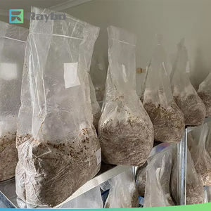 Мешок для выращивания грибов RAYBO 28x50 см из термостойкого прозрачного полипропилена с фильтрующей вставкой - Product Image 4