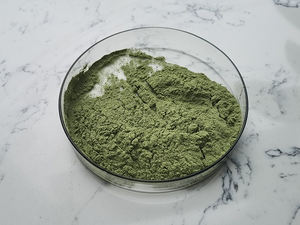 Natural Vegetable Powder Organic Frozen <strong>Broccoli</strong> Powder - Product Image 4