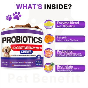 Suplemento Intestinal Probiótico para Mascotas OEM/ODM, Masticables Blandos para el Apoyo Digestivo, Prebióticos, <span class=keywords><strong>Enzimas</strong></span> <span class=keywords><strong>Digestivas</strong></span>, Promueve la Salud Intestinal - Product Image 6