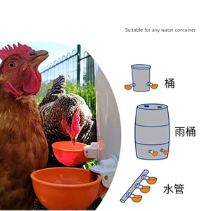 Bebedero Automático para Pollos, Tazón de Agua de Plástico para Pollos, Bebedero Tipo Taza para Pollos, Abreuvoirs Poulet - Product Image 5