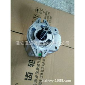 Pompe à engrenages à 6 dents série personnalisée CBT-F432-ALHL, état neuf - Product Image 1