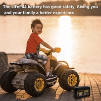 2 Paket Baterai Lithium Ion LiFePO4 Solid State 12V 10Ah Isi Ulang 2000+ Siklus Tenaga Surya/Kipas Angin Skuter/Penerangan