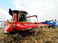 Nouvelle Moissonneuse-batteuse automatique multifonctionnelle à transmission par engrenages, largeur de travail 3800 mm, pour la récolte des céréales