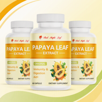 Capsules d'extrait de feuille de papaye 600mg 10:1, complément alimentaire à base de plantes pour un mode de vie actif