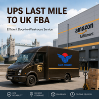 Ligne spéciale de fret maritime de Chine vers l'entrepôt FBA du Royaume-Uni, dédouanement DDU, UPS Last Mile, logistique maritime Amazon FBA