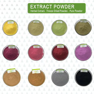 Collagene Marino Premium OEM in Polvere, Peptidi di Collagene di Pesce per Pelle, Capelli, Unghie e Articolazioni, Confezione da 480g, Estratto Vegetale - Product Image 4