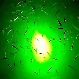 Pesca subacquea che cattura pesci luce verde oceano profondo esca blu pesci luminosi gialli che attirano la lampada da pesca