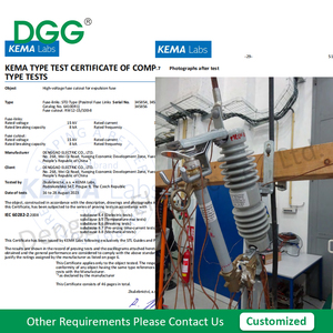 DGG Outdoor High Voltage 15kV Cutout <strong>Fuses</strong> Link DG-15 Drop Type <strong>Fuse</strong> Series With KEMA Type Test Reports - Product Image 2