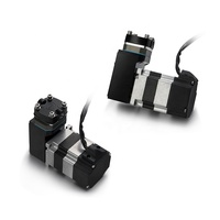 Fluidsmart ARP12DB24 moteur sans balais sans huile pompe à piston à courant continu pompe de surpression haute pression vitesse réglable micro pompe à air
