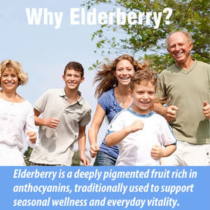 High Potency Elderberry Extract Drops Liquid Immune Support <b>Supplement</b> Zinc Vitamin c Elderberry Liquid Drops for Adults - Product Image 4