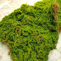 Petites décorations artificielles en PVC mur de mousse bonsaï plante verte faux arbustes herbe pierre de gazon décorative en plastique écologique