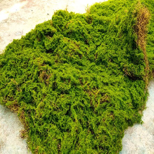 Pequeñas decoraciones artificiales de PVC Pared de musgo bonsái pared planta verde arbustos falsos hierba ecológica plástico decorativo césped piedra - Product Image 2