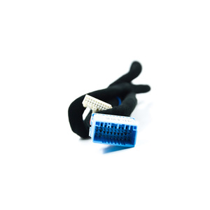 Faisceau de câblage pour amplificateur numérique DSP11, isolation PVC 12V, modification du système audio, mise à niveau automobile - Product Image 2